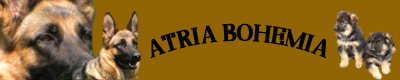 Atria Bohemia