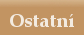 Tla��tko Ostatn�